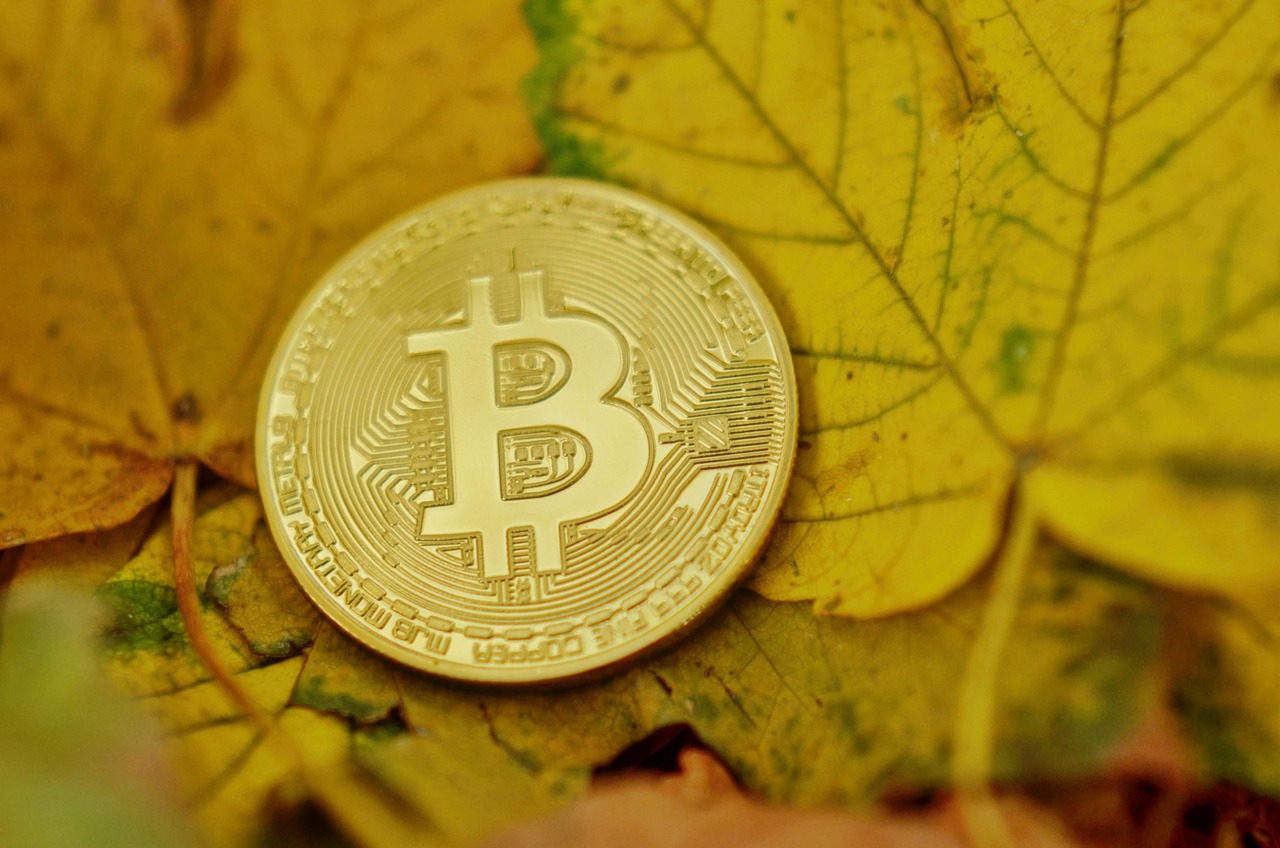 美国世界粮食计划署WFP宣布：接受BTC、ETH、USDC、DOGE、BONK等80种加密货币捐赠